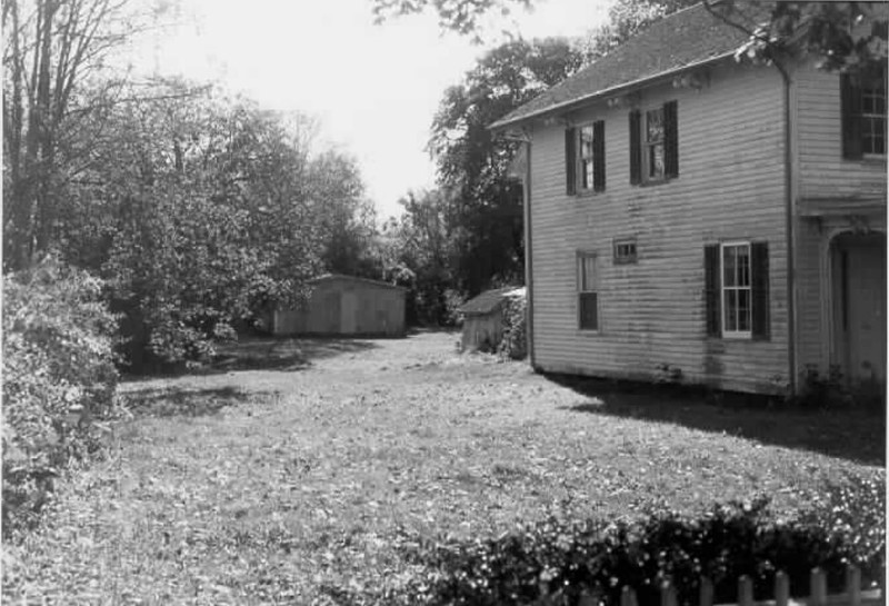 Plant, Property, Building, Window