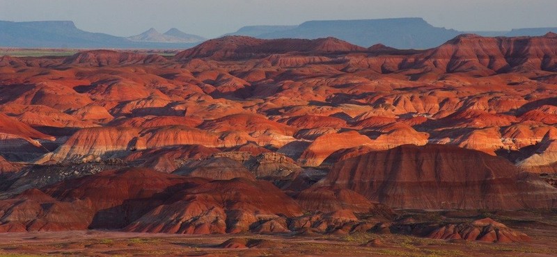 Geologists, anthropologists, and paleontologists conduct research in the park on a regular basis.