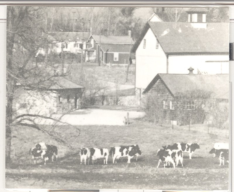 Photograph, Building, House, Working animal