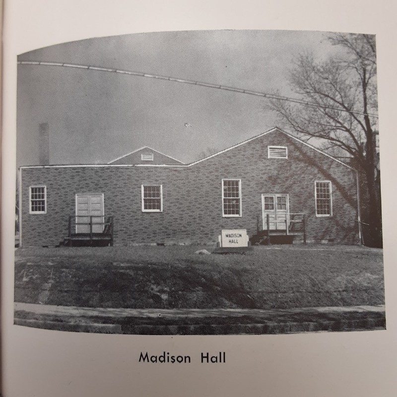 Building, Plant, Window, House