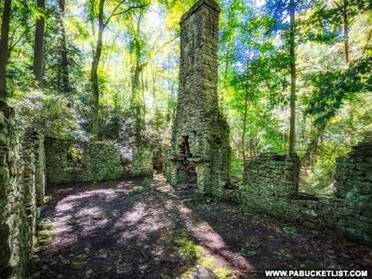 full sized photo of the chimney of the famous rod and gun club, long and tall stone like strictures that is covered in green moss