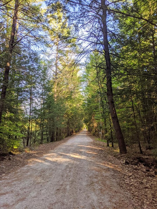 A view of the Stevens Rail Trail.