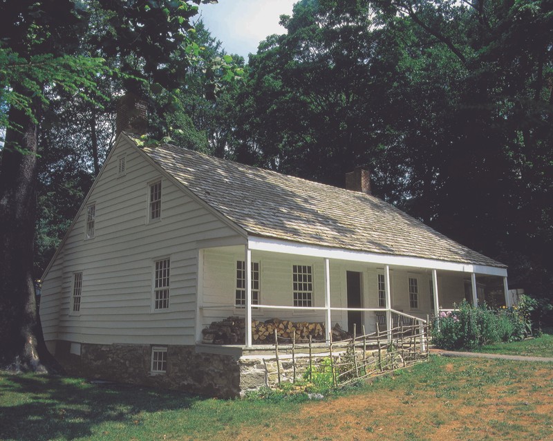 Plant, Building, Window, Natural landscape