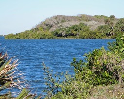 Far sideview of an Oyster mounds