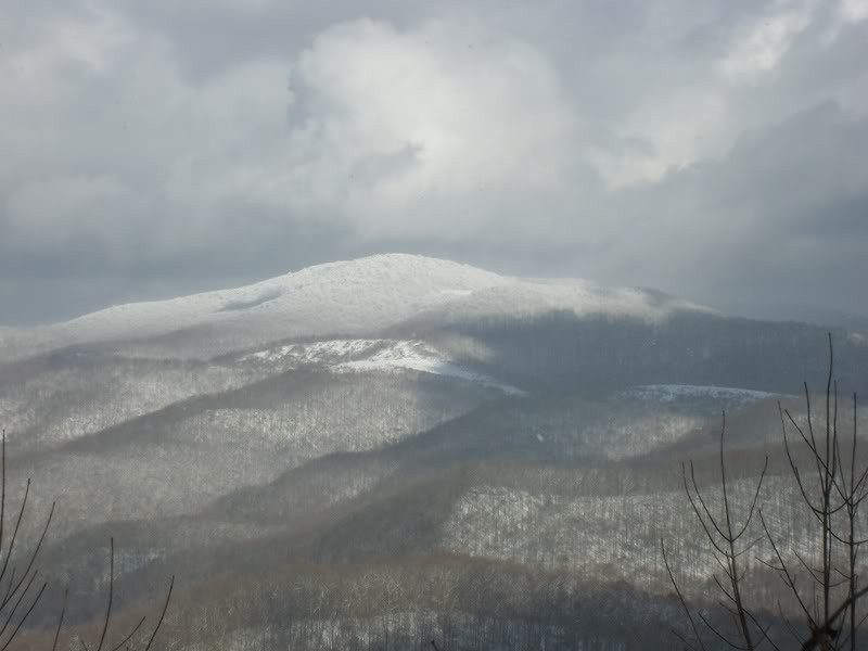 Picture of Cheat Mountain taken from nearby Kelly Mountain Road, north of Elkins