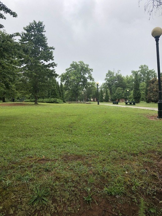 The view from the Meditation Altar where Charlotte Brown would pray before every day of school.