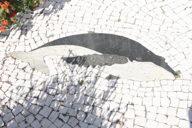 Whale mosaic on the plaza (image from the Portuguese Historical Museum)