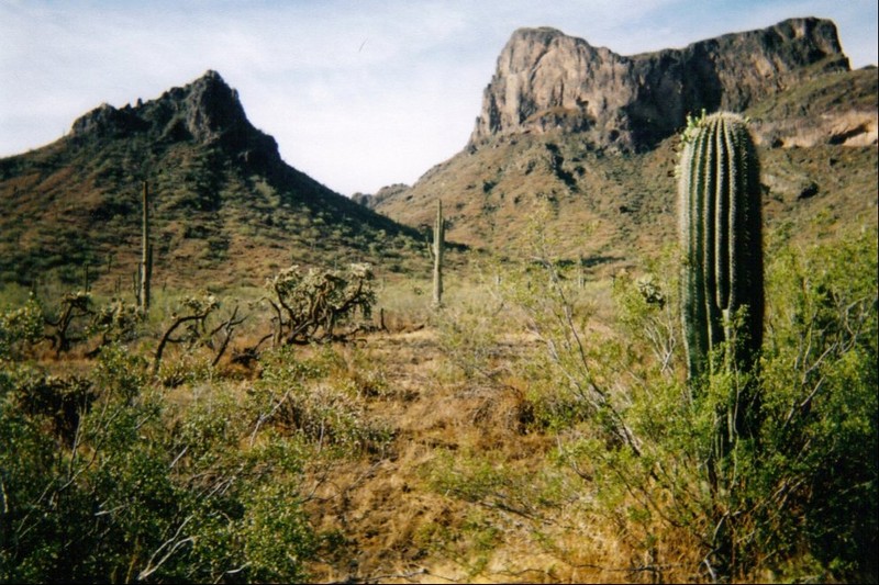 View of Picacho Pass