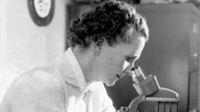 Rachel Carson doing research that helped to find why the chemical DDT was so harmful to human health.