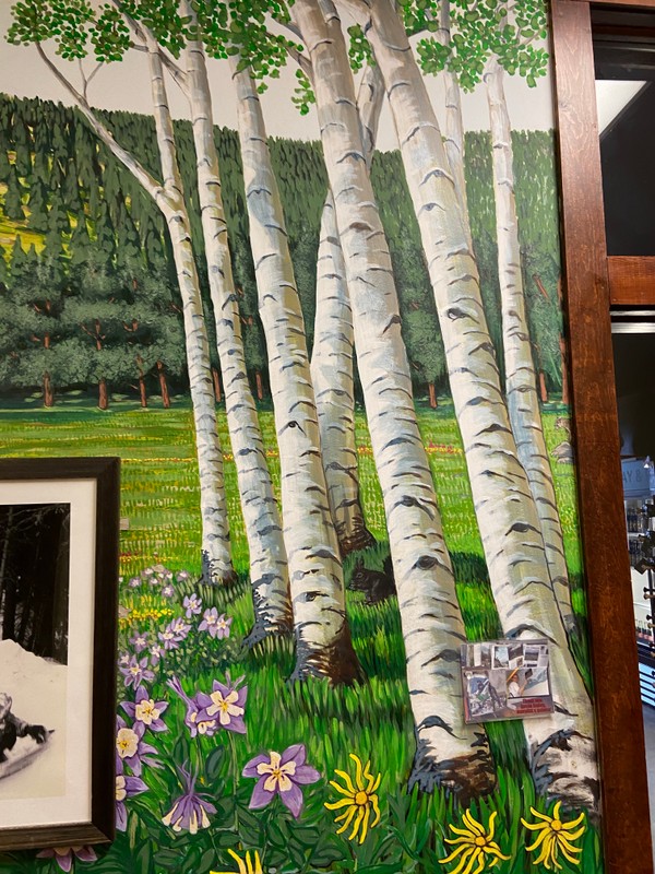 Seven Aspen trees are depicted in this image. The white of the bark stands out from the green grass and pine trees behind the Aspens. Small yellow and purple flowers are at the bottom of the image with more trees on the other side of the meadow. A small bobcat peeks in from the right side of the painting.