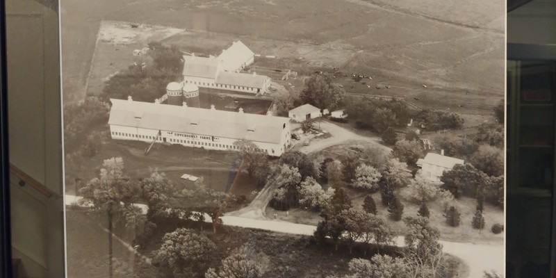 An aerial view of the Ackerhurst Dairy Farm, located in the lobby. Photo taken May 6, 2020.