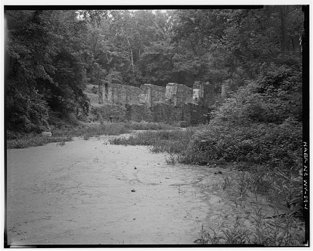 Water, Plant, Natural landscape, Black-and-white