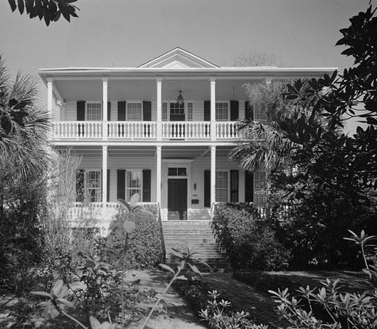 Plant, Building, Property, Window