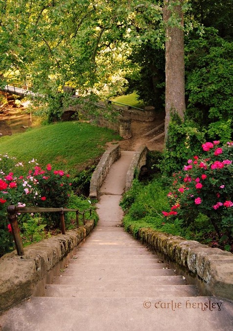 Staircase leading up to the garden