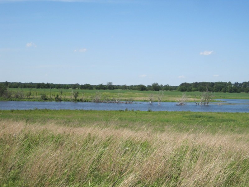 Water, Sky, Plant, Cloud