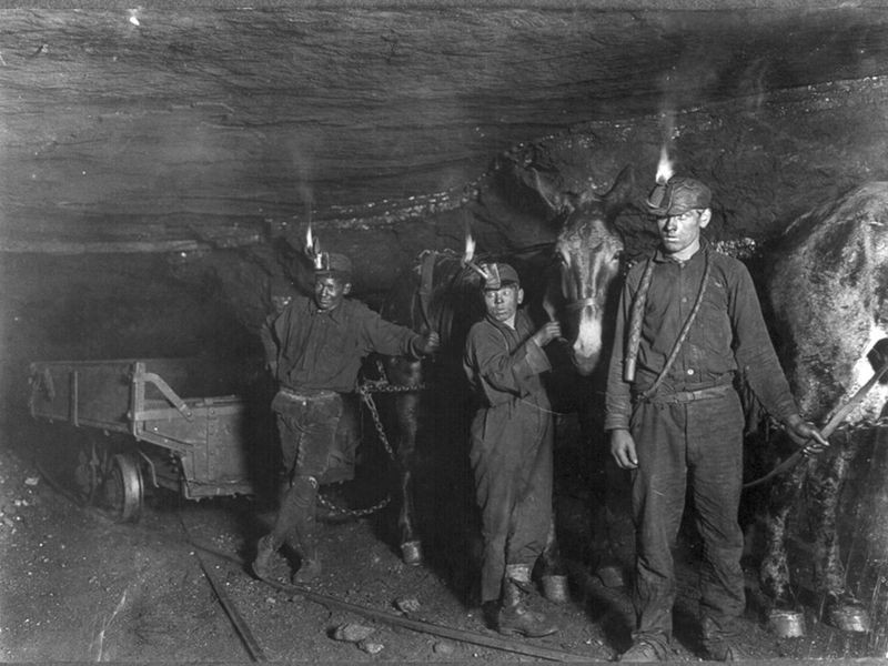 Child miners with a mule in Gary, West Virginia, 1908.