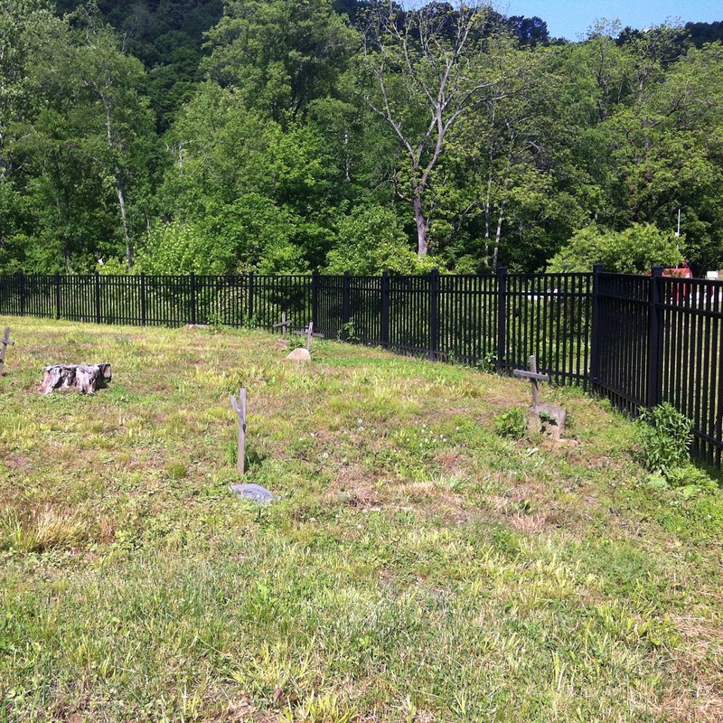 Paris Brumfield Family Cemetery, Harts, WV.