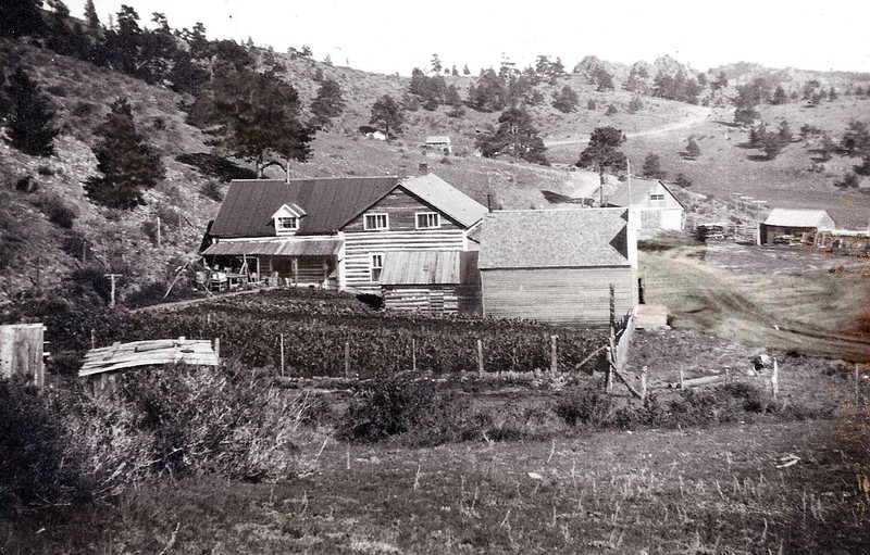 Garden, Buildings, Log Cabin, Colorado