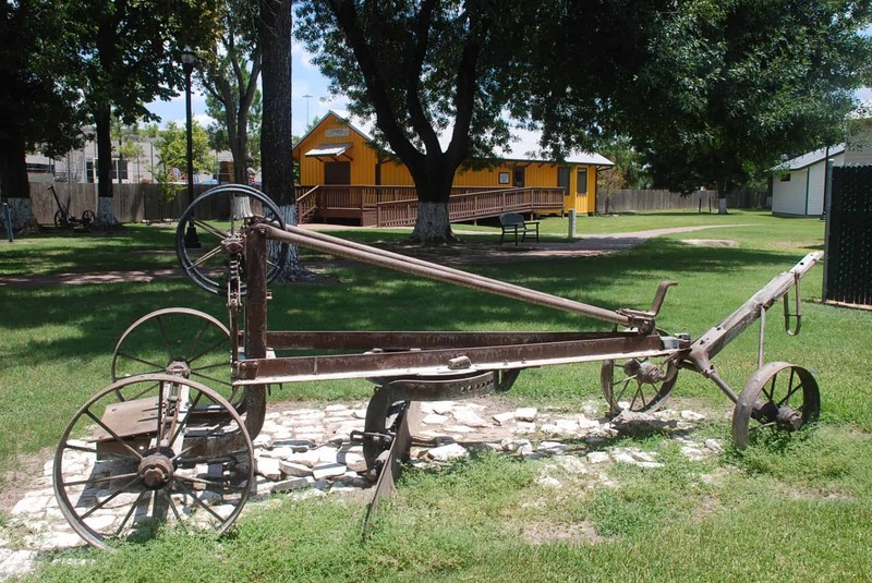 Plant, Wheel, Tree, Motor vehicle