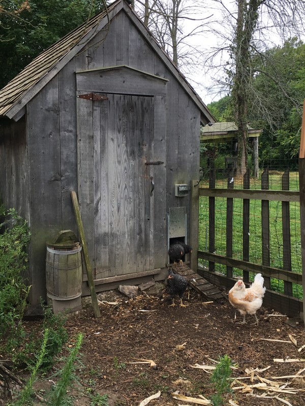 Chicken coop