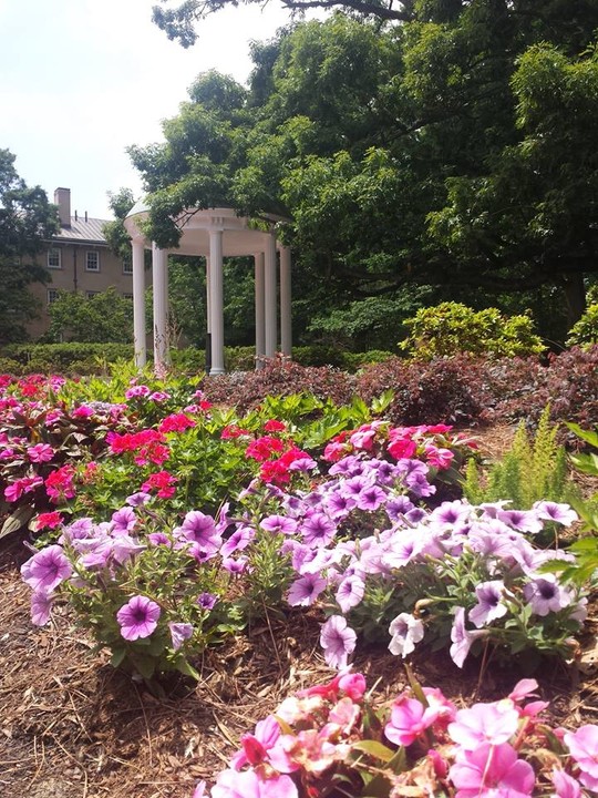 Today, the Old Well is surrounded by trees, flowers, and brick paths (source: Burt Westermeier)