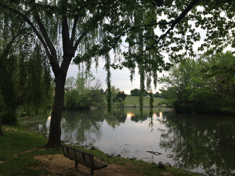 The Duck Pond at Virginia Tech; image by Eric T Gunther - Own work, CC BY 3.0, https://commons.wikimedia.org/w/index.php?curid=19364480