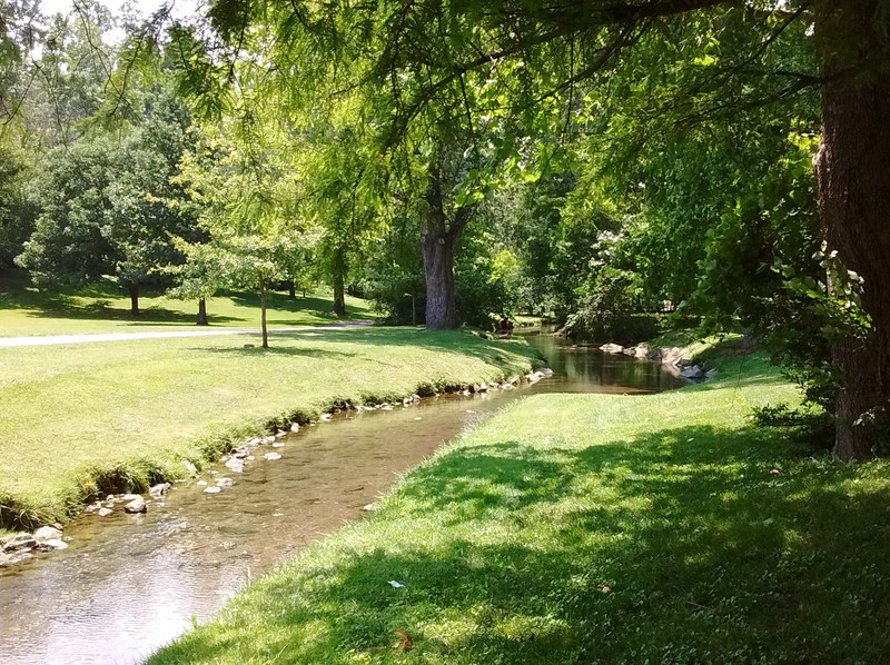 Stroubles Creek just upstream of the Virginia Tech Duck Pond in Blacksburg, Virginia; image by Vejlenser - Own work, CC BY-SA 4.0, https://commons.wikimedia.org/w/index.php?curid=49828867