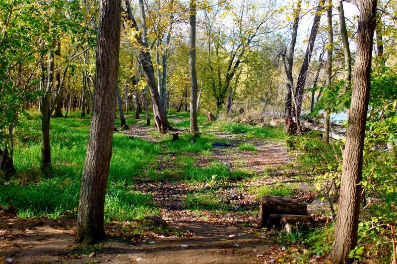 Future dig site at Fort St. Joseph