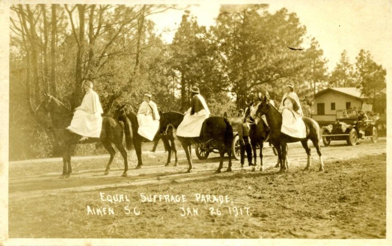 Horse, Tree, Working animal, Horse supplies