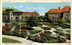 Dean Wulling also established a medicinal plant garden on the current site of Northrop Auditorium 