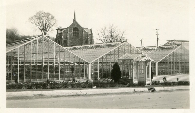 A photo taken of Park Greenhouse from street view.