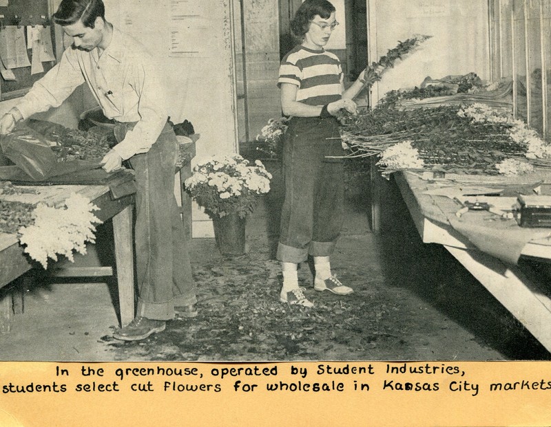 A photo inside Park Greenhouse of students cutting flowers for sale in local markets.