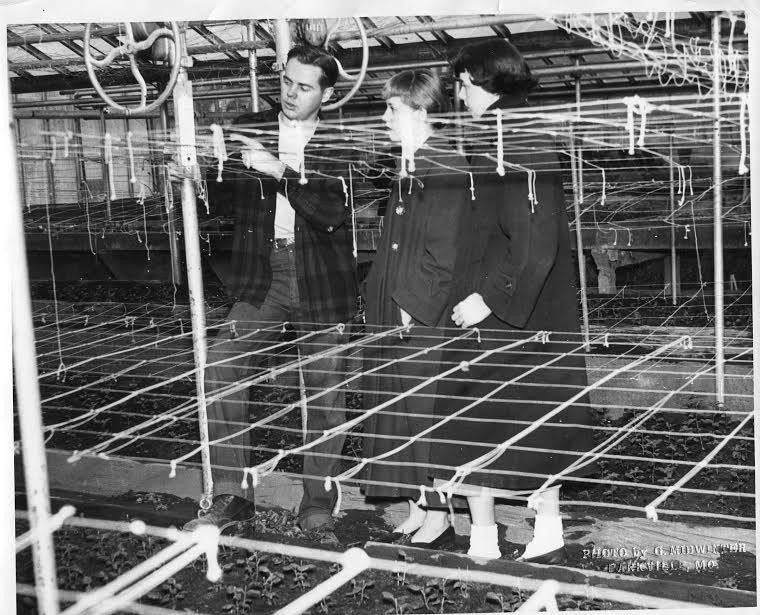 Photo of Albert D. McDowell, a student supervisor, explaining the steps to two coeds for raising snapdragons for a flower market in Kansas City.