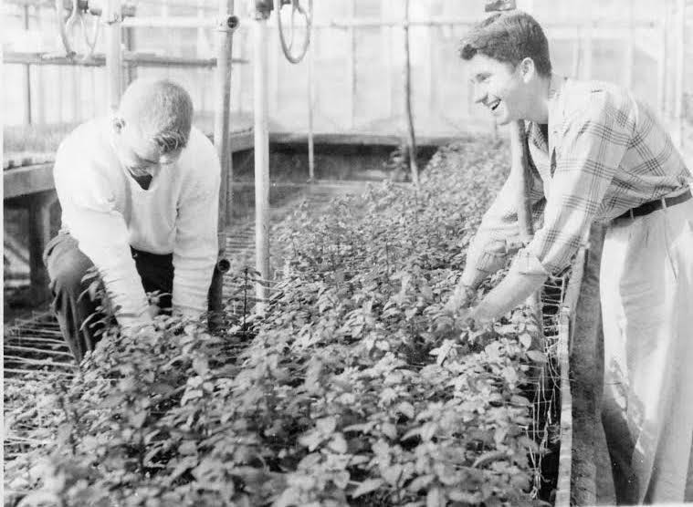 Students working in the greenhouse.