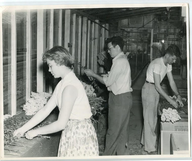 Students preparing for the flower market.