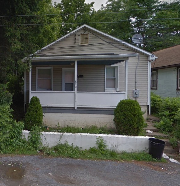 Plant, Building, Window, Property