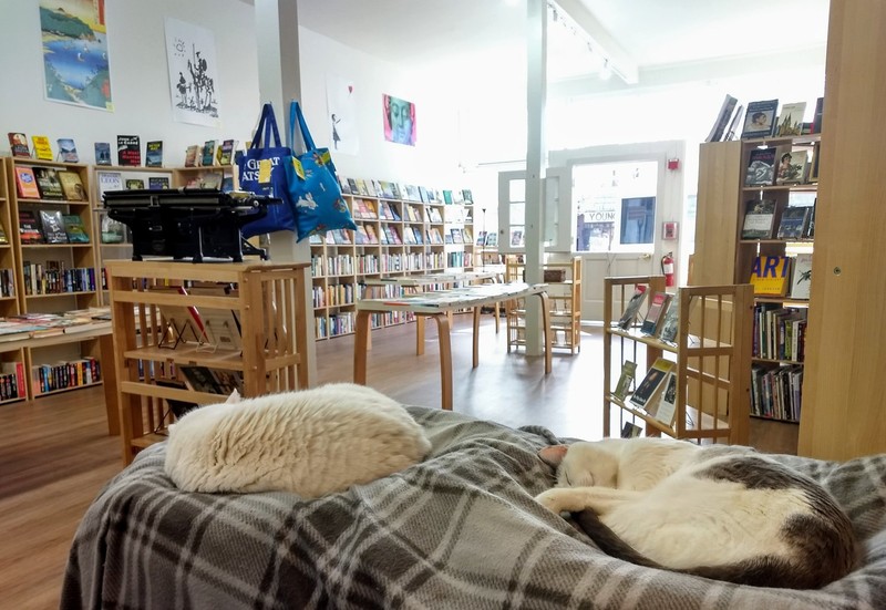 Sleepy Cat Books, a popular used bookstore currently located in the old Soda Water Works Building in downtown Berkeley