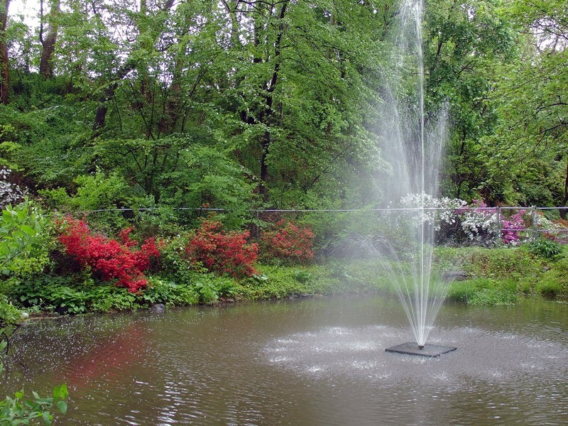 Today, people can visit the Crozer Arboretum which was the estate that was used by the Crozer Medical Center and before that the Crozer Theological Seminary. It is a 12-acres garden park located in Chester, PA. Admission is free to the park. 