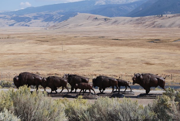 Richard Loffler's 64-foot-long Sculpture Trail piece: Buffalo Trail