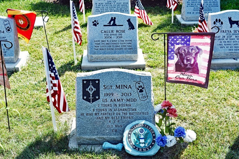 Michigan War Dog Memorial gravestones, 2020