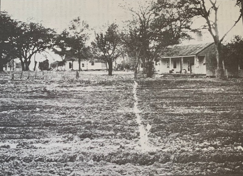 House, Tree, Home, Building