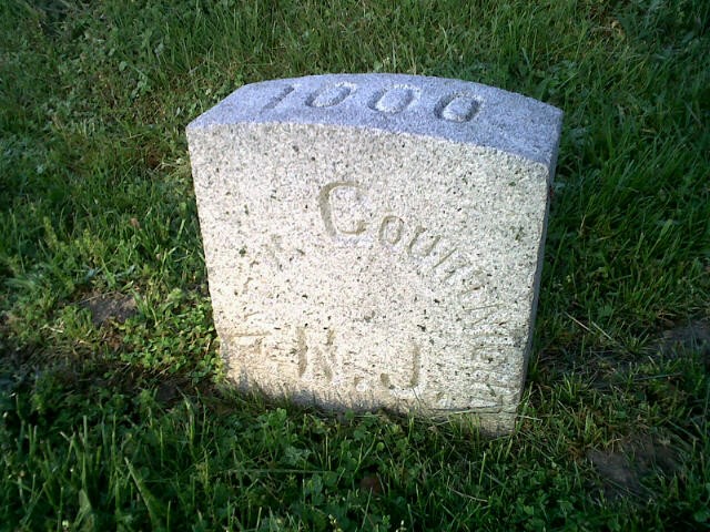 Plant, Grave, Cemetery, Headstone