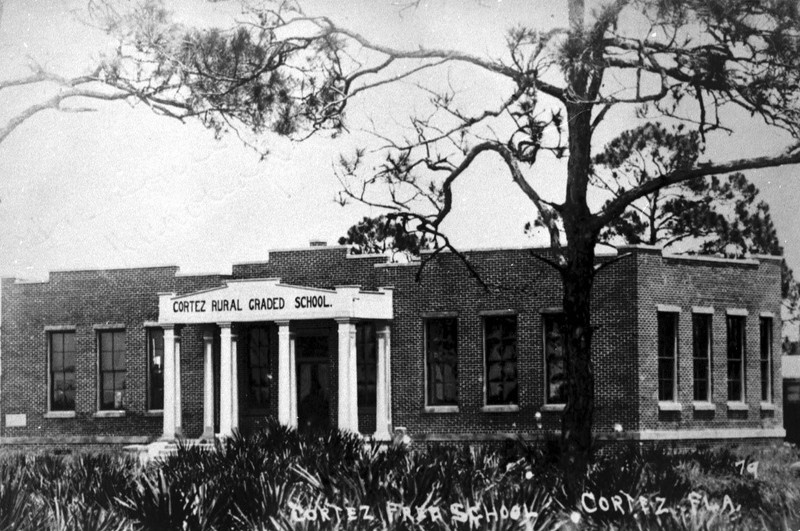 This is an image of the Cortez Rural Graded Schoolhouse, presently the Florida Maritime Museum. Take a minute and notice the pine trees located around the schoolhouse in the 1920s. You can still see pine trees like these ones around the museum’s grounds today. 