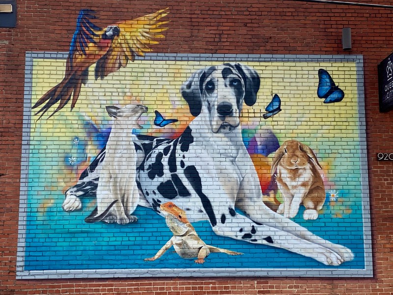 A variety of animals, including a dog, cat, parrot, lizard, and bunny  are painted on the side of the wall.