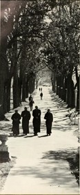 A stroll down Abbey Lane, 1969.