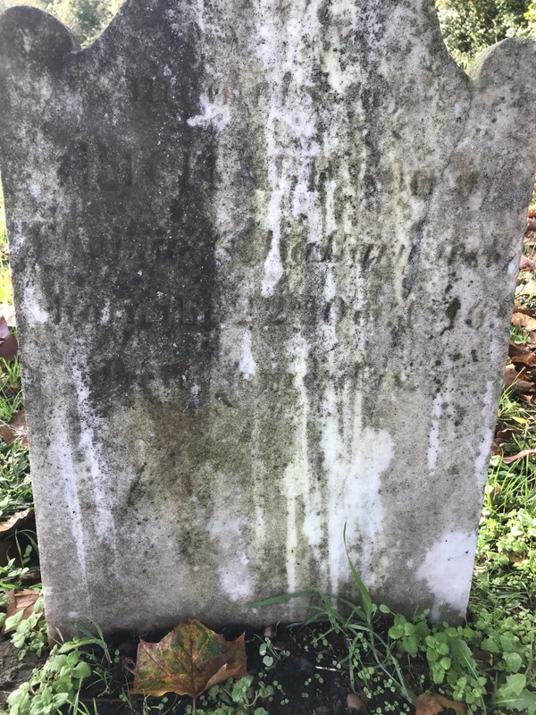 Headstone of Barnswell family member. Lettering has decayed over time. 