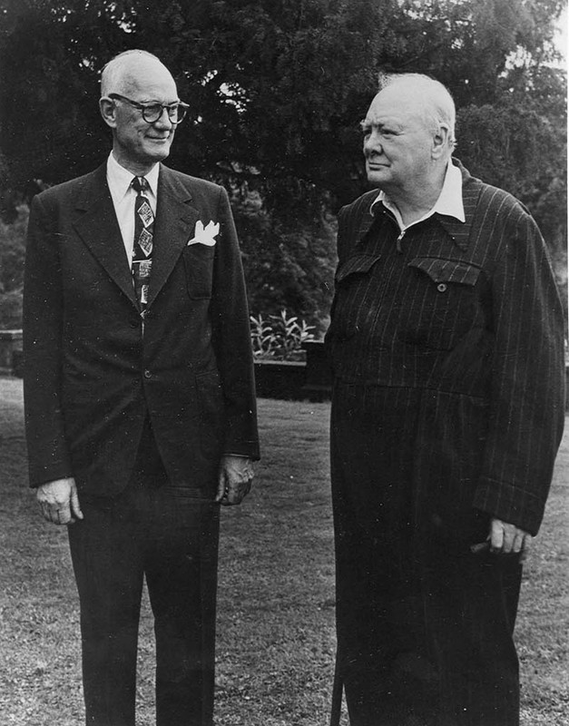 Hairstyle, Plant, Suit trousers, Standing