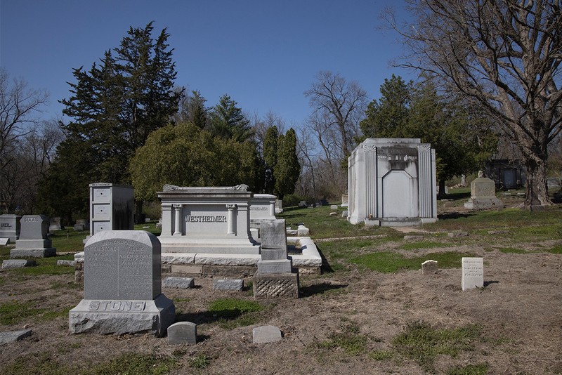 Plant, Sky, Cemetery, Tree