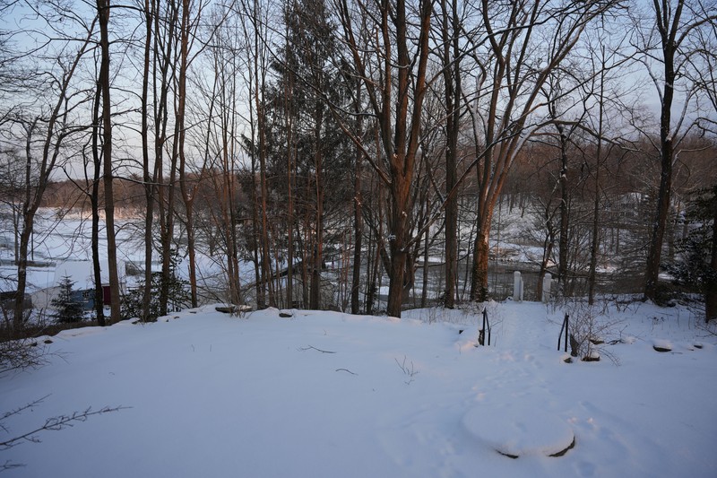 Snow, Sky, Nature, Branch