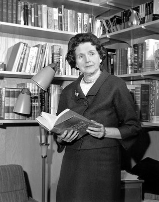 Rachel Carson reading another book about nautre, and how to preserve it. 